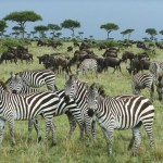 pictures are loaded from thundafunda.com