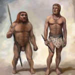 -Neanderthal-Comparison-2