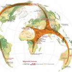 migracion
